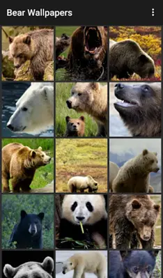 Bear Wallpapers android App screenshot 0