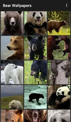 Bear Wallpapers android App screenshot 1